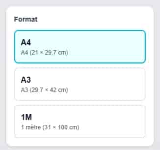 Choix du format A4, A3 ou 1 mètre